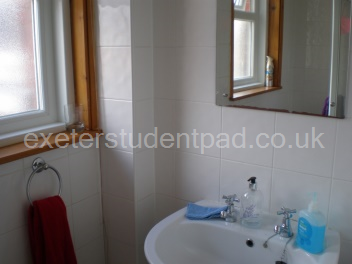 Main Bathroom with Shower - Middle Floor