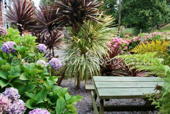 Front Garden
