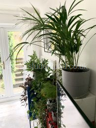 Lounge with patio door to garden 
