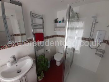 Guest private bathroom.
