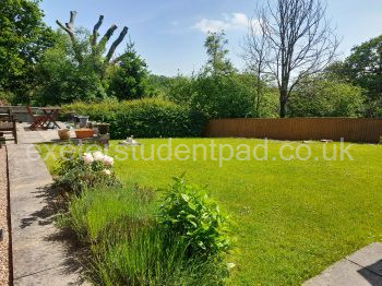 Garden and Patio