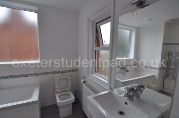 Main bathroom view 4