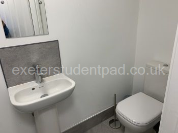 first floor toilet 1 (also has shower out of shot)
