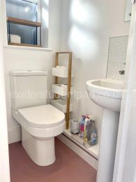 Downstairs shower room